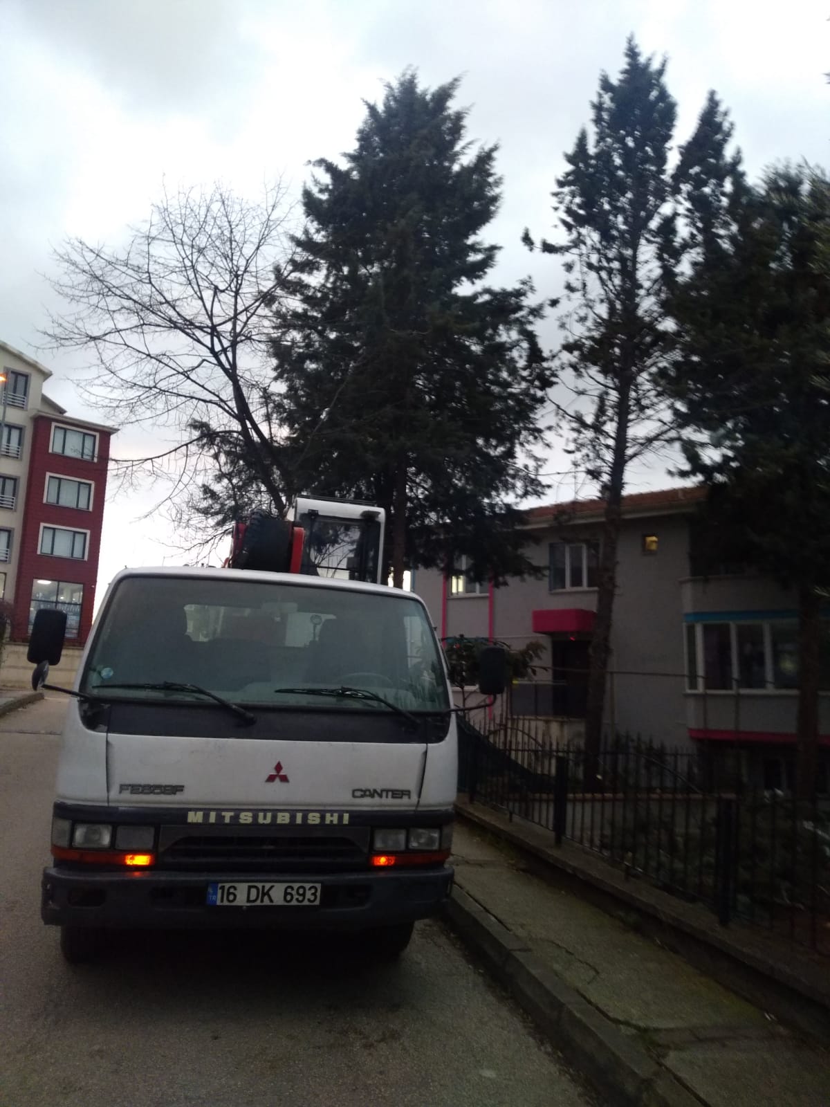 21aec8a3-bfb1-4102-90bb-407902af03e7.jpg