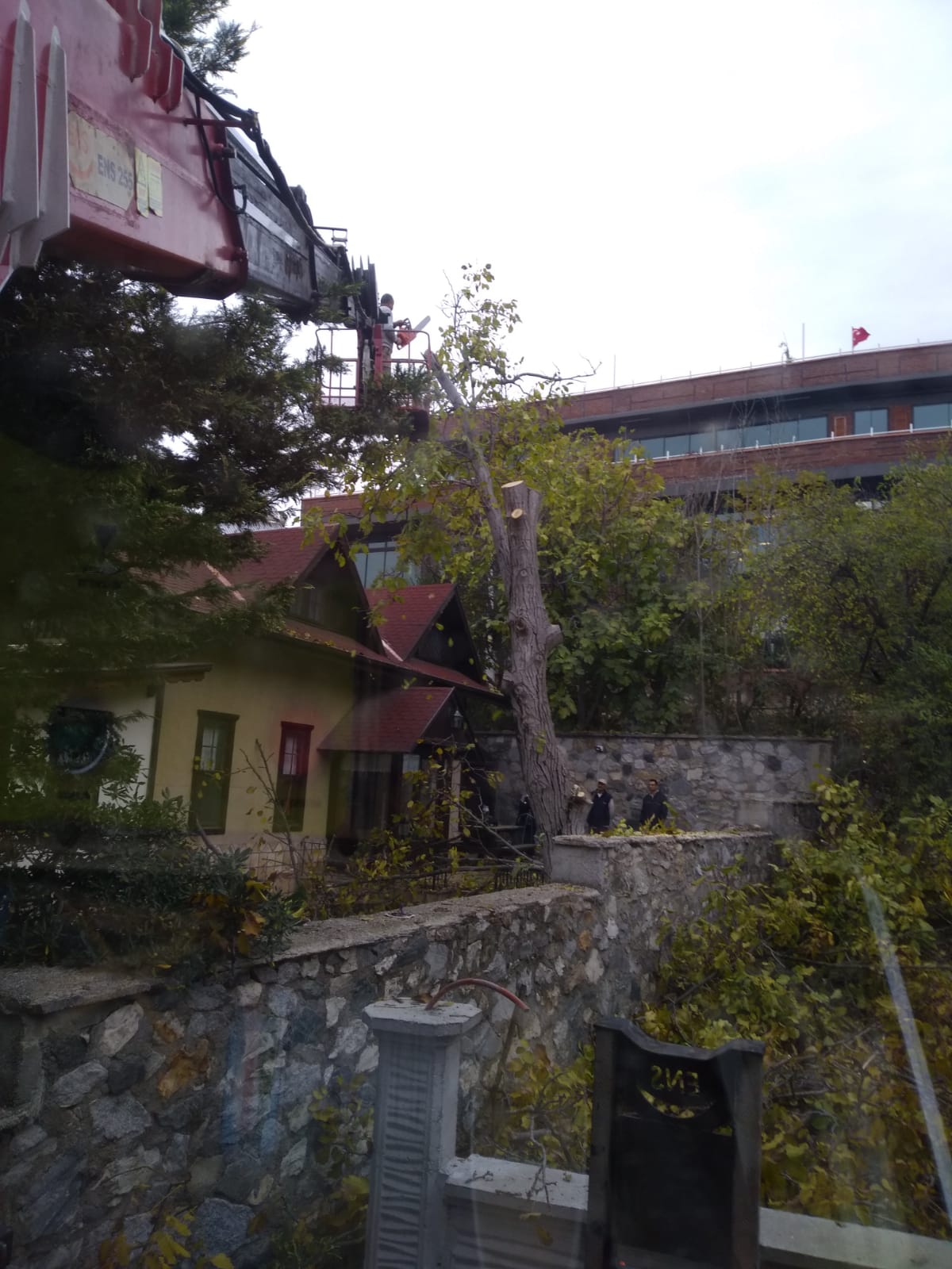 c118c324-cada-4caa-a5de-6e1d9cf54b76.jpg