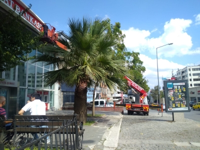 Yıldırım/Bursa Temizlik çalışması